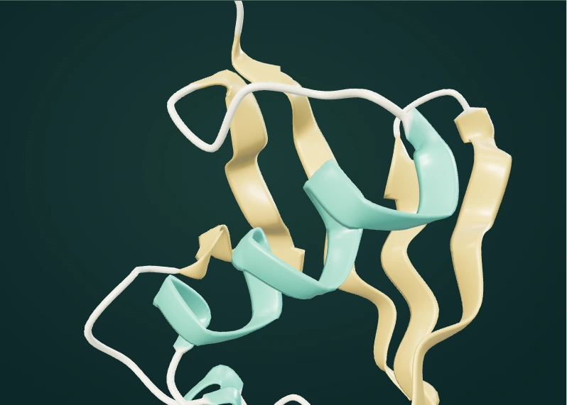 Statische 3D-Darstellung aus den hinterlegten molekularen Referenzdaten.